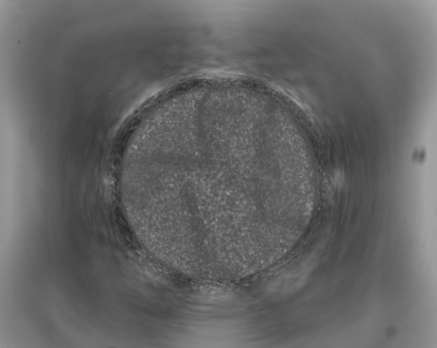 X0000097291254200803071724