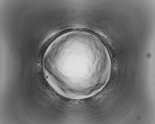 X0000097291255200803071724