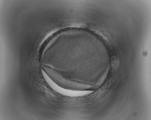 X0000097291256200803071724