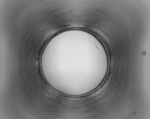 X0000097291257200803071724