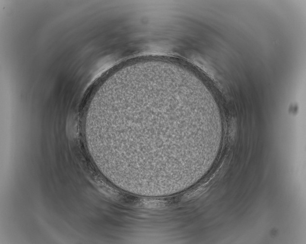 X0000097291258200803071724