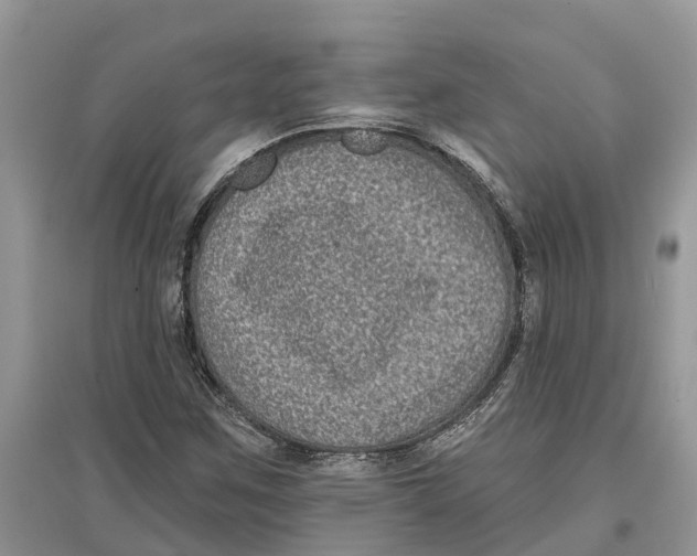 X0000097291259200803071724
