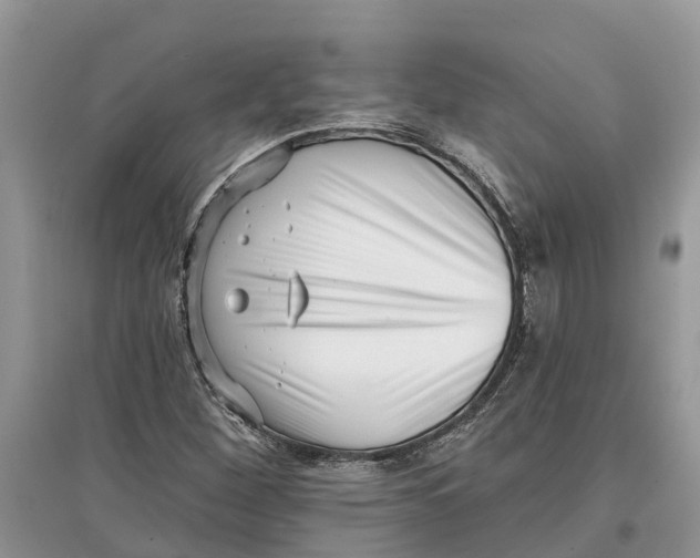 X0000097291260200803071724