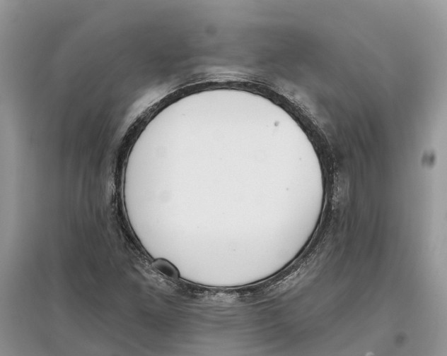 X0000097291261200803071724