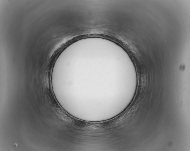 X0000097291262200803071724