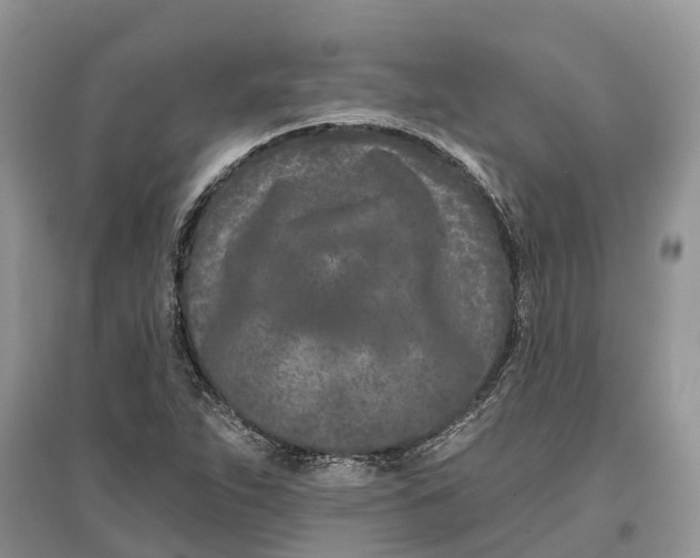 X0000097291263200803071724