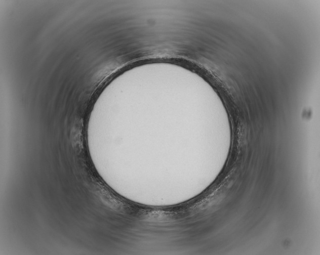 X0000097291265200803071724