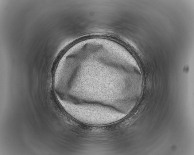 X0000097291267200803071724