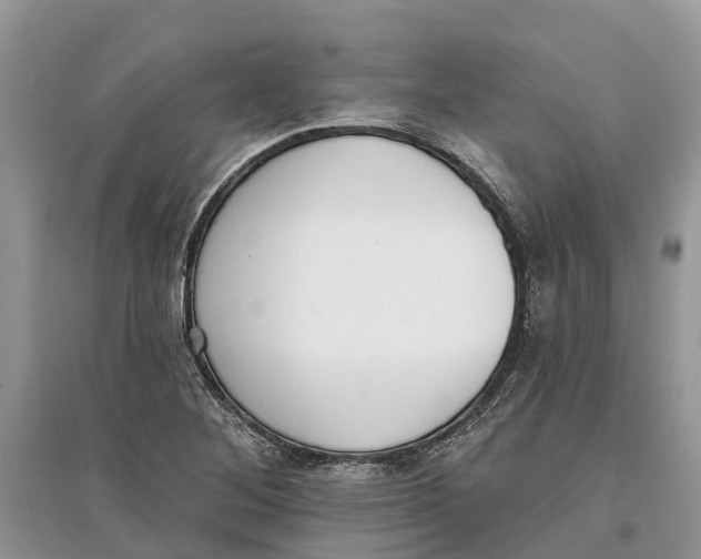 X0000097291268200803071724