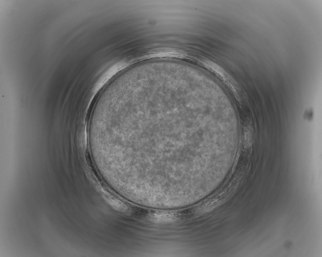 X0000097291274200803071724