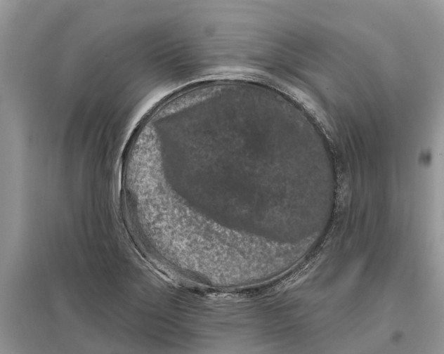 X0000097291275200803071724