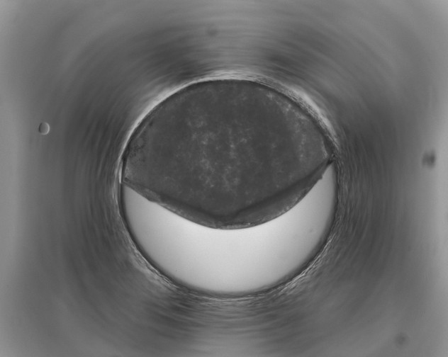X0000097291276200803071724