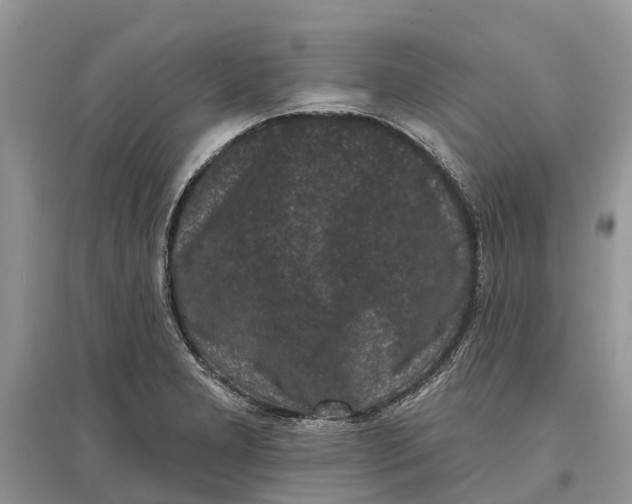 X0000097291277200803071724