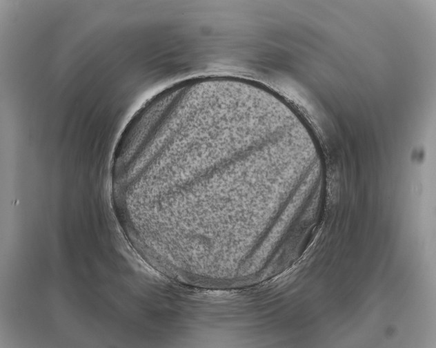 X0000097291280200803071724