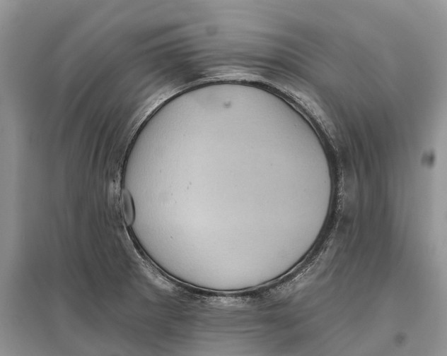 X0000097291281200803071724