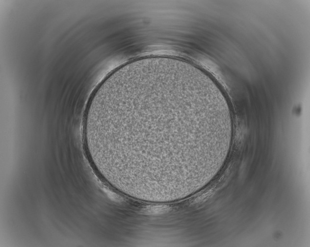 X0000097291282200803071724