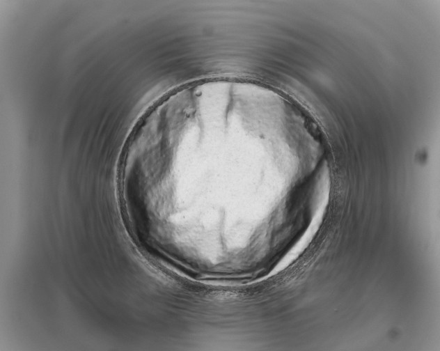 X0000097291283200803071724