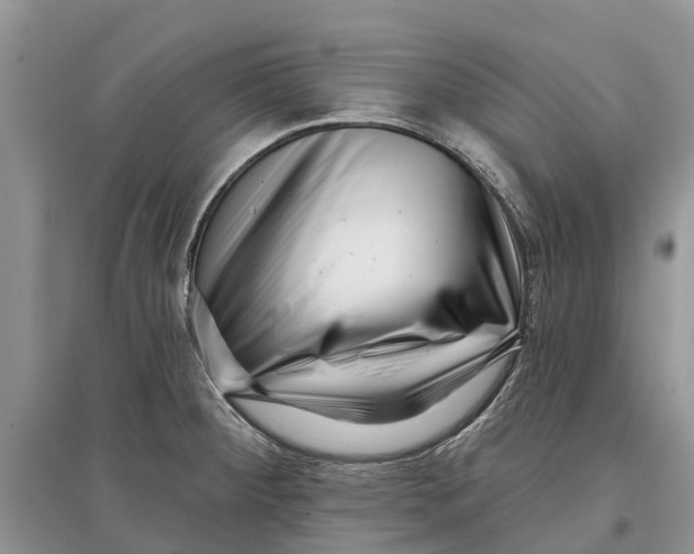 X0000097291284200803071724