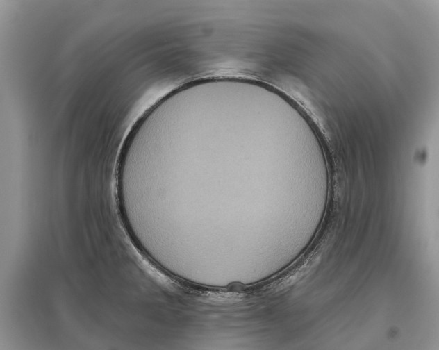 X0000097291285200803071724