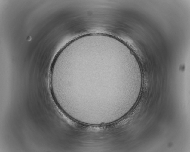 X0000097291286200803071724