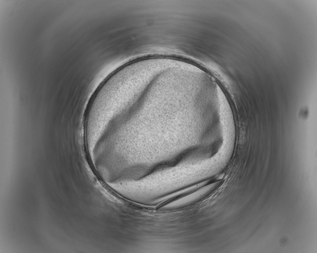 X0000097291287200803071724