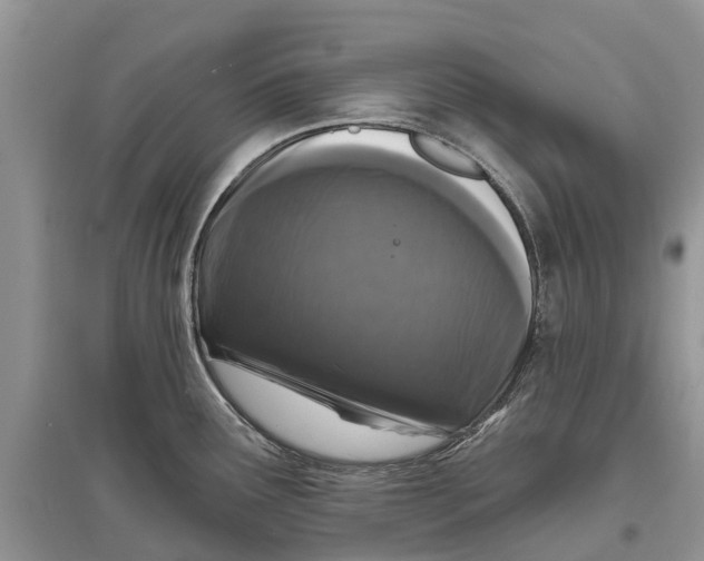 X0000097291291200803071724