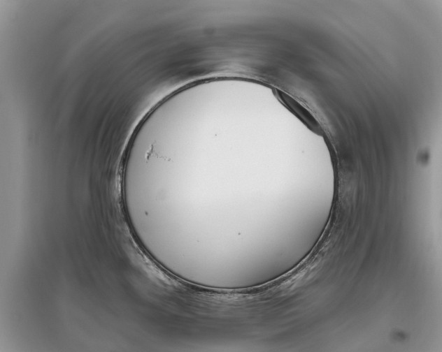 X0000097291292200803071724