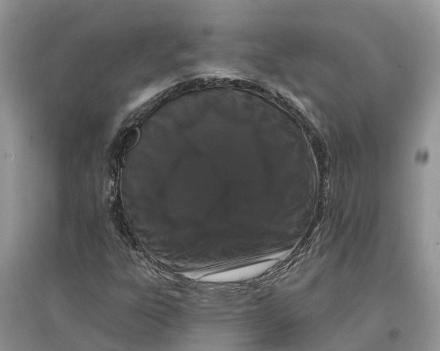 X0000097291303200803071723