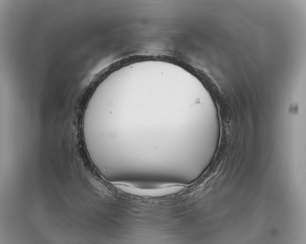 X0000097291304200803071723