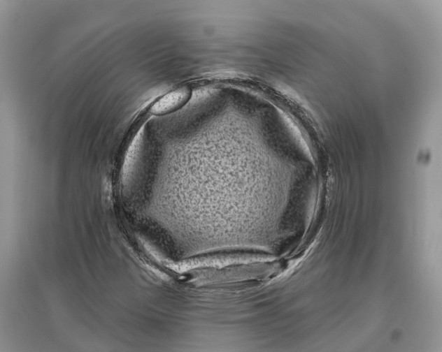 X0000097291305200803071723