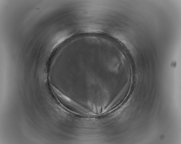 X0000097291306200803071723