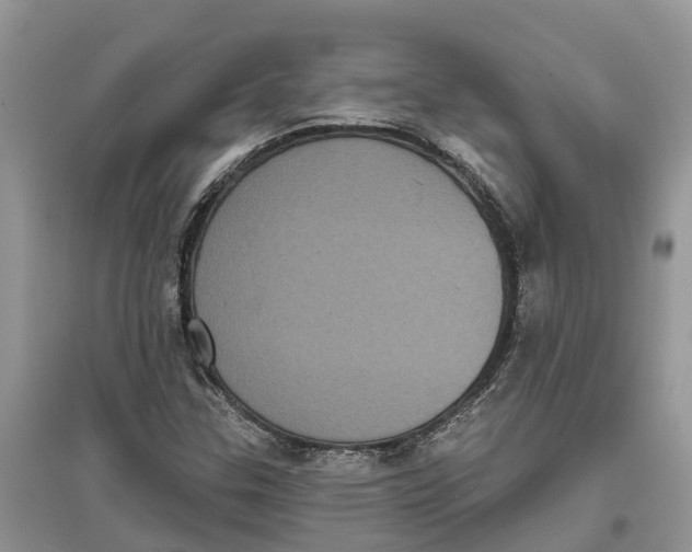 X0000097291307200803071723