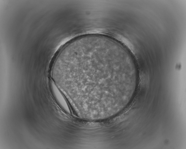X0000097291308200803071723