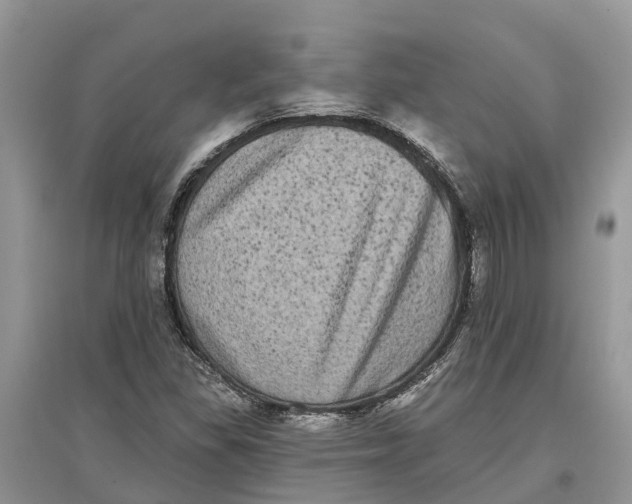 X0000097291309200803071723
