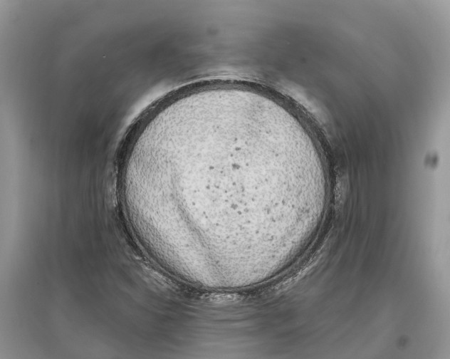 X0000097291310200803071723