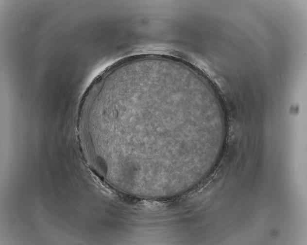 X0000097291312200803071723
