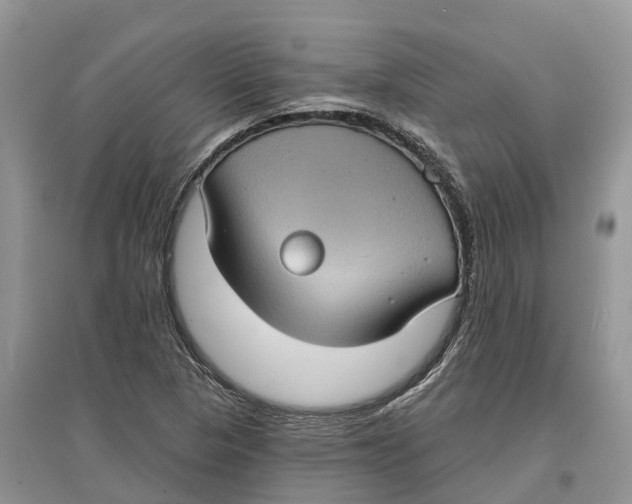 X0000097291313200803071723