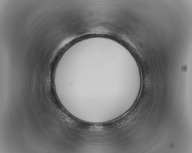 X0000097291315200803071723