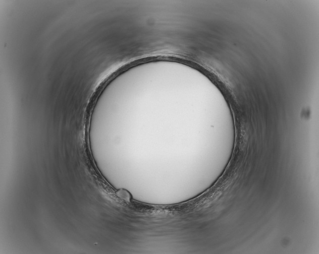 X0000097291316200803071723