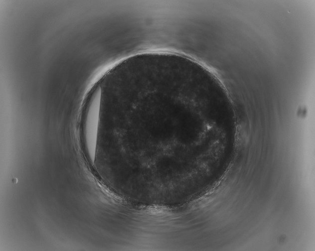 X0000097291319200803071724