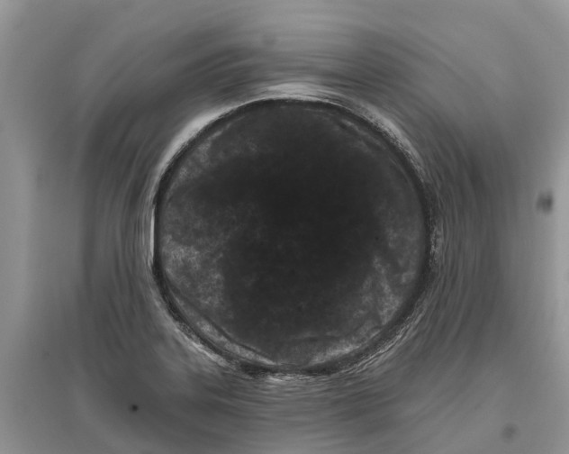 X0000097291323200803071724