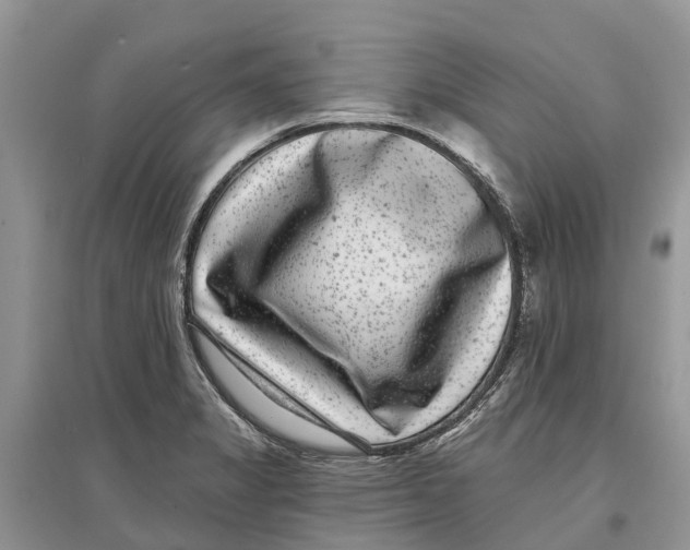 X0000097291325200803071724