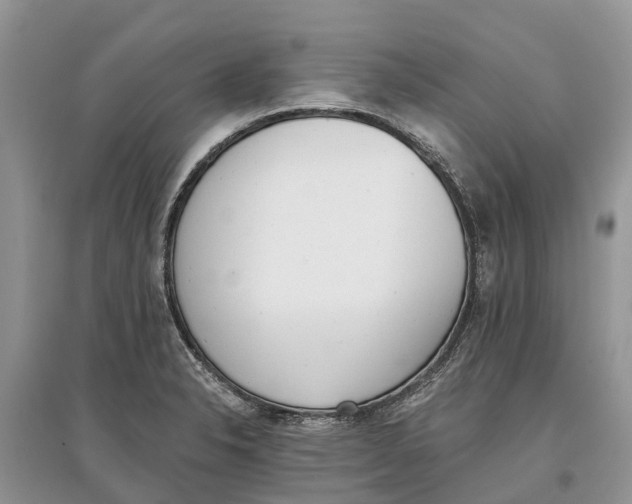 X0000097291326200803071724