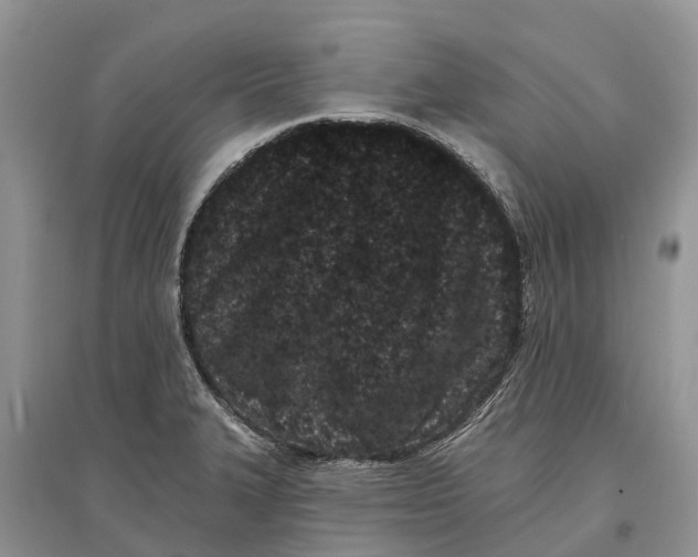 X0000097291327200803071724
