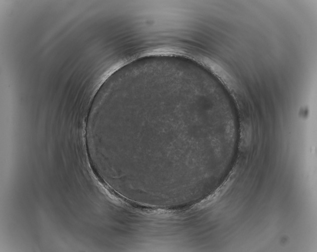 X0000097291329200803071724