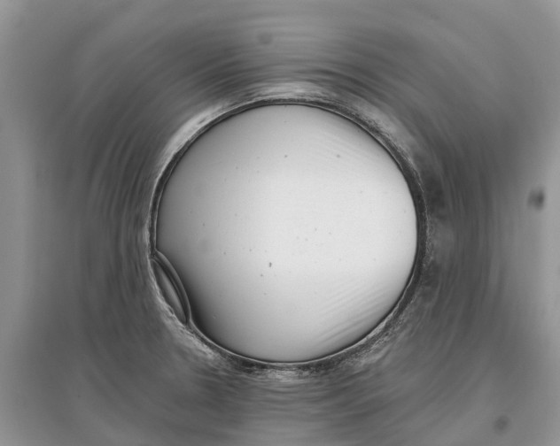 X0000097291330200803071724