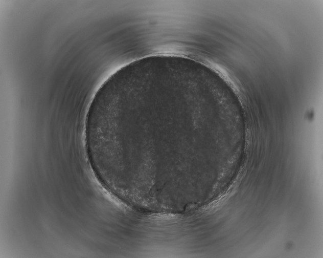 X0000097291331200803071724
