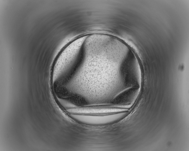 X0000097291333200803071724