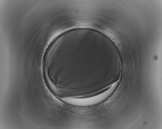 X0000097291334200803071724