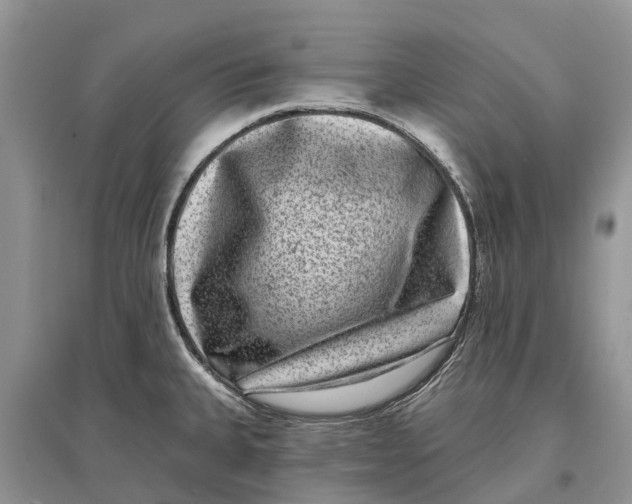 X0000097291335200803071724